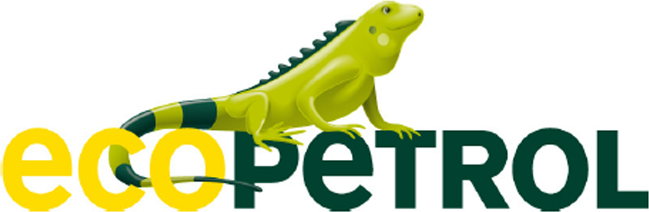 Partner
